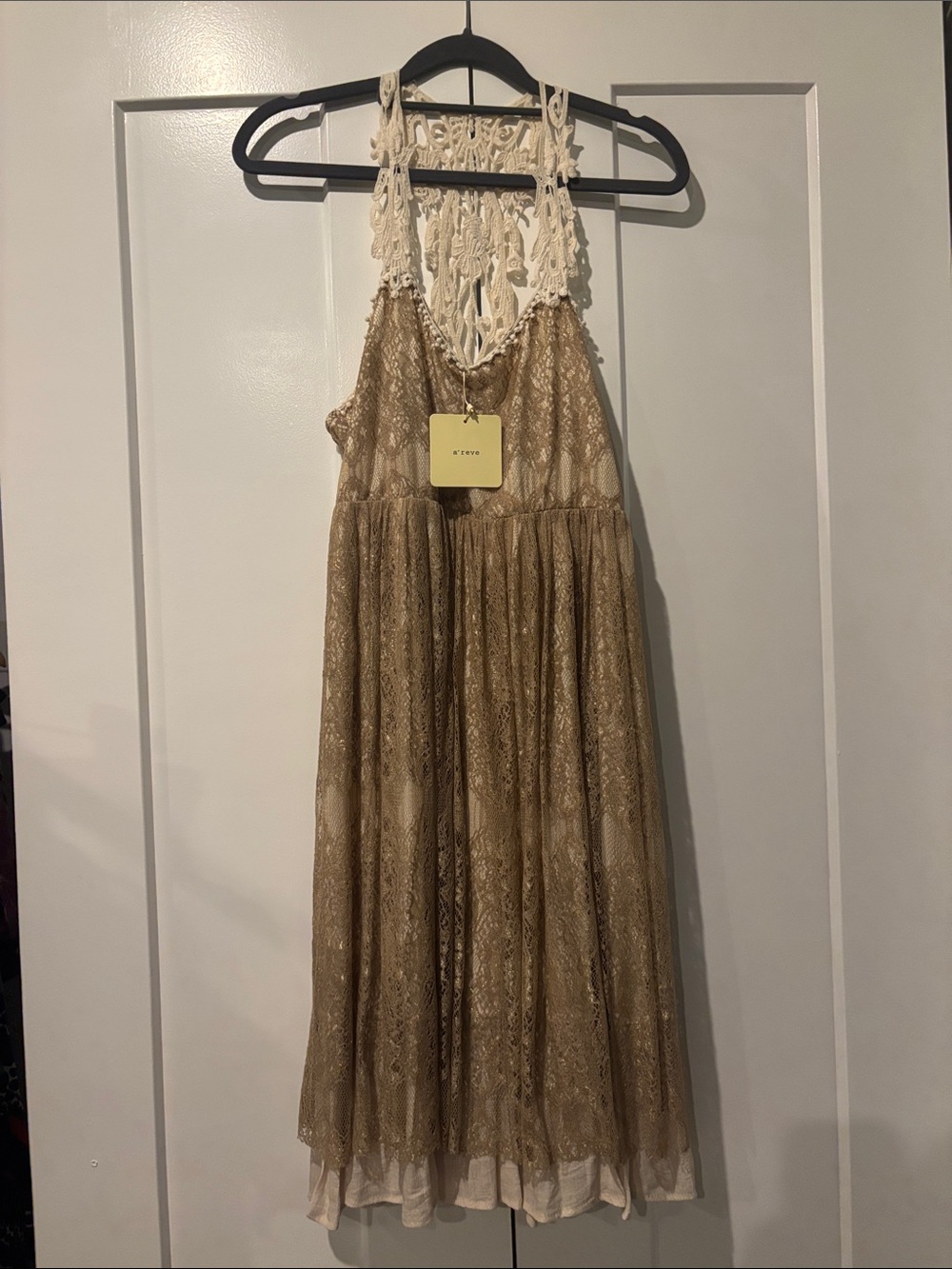 A'Reve Cream Crochet Yoke Bronze Lace Overlay Dress